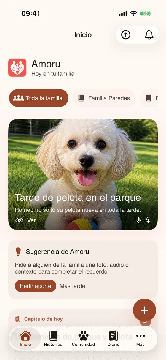 Amoru: inicio de la familia